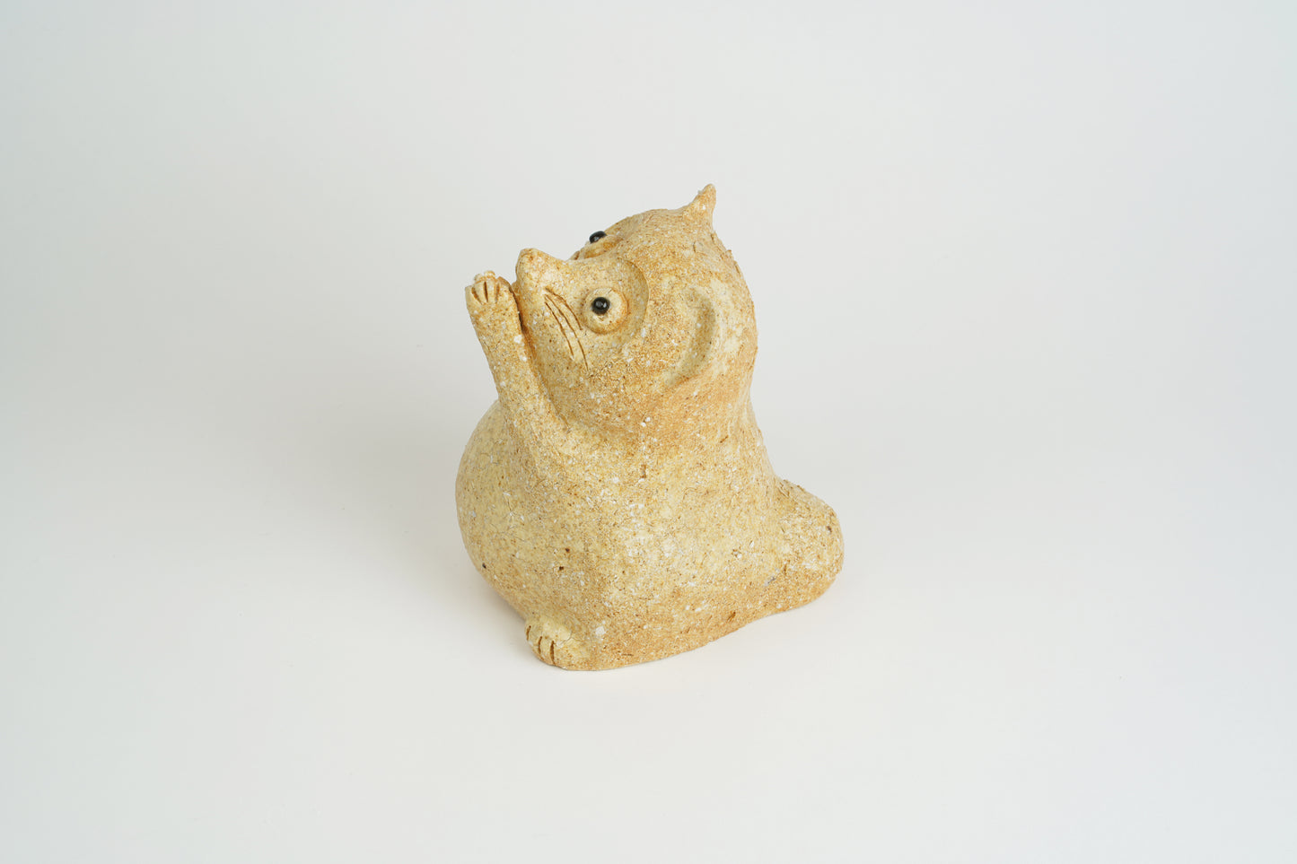 แรคคูนขอทาน: เล็ก