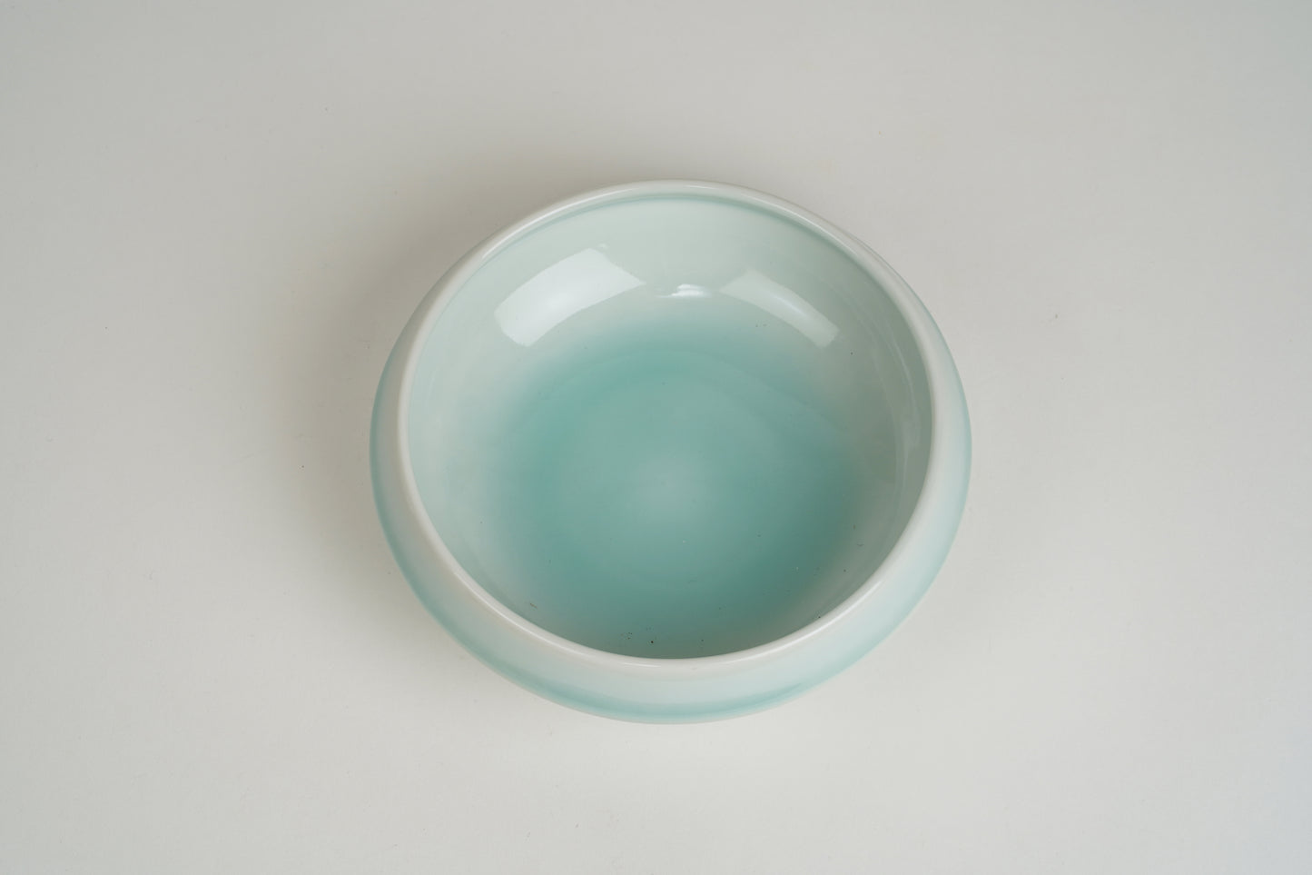 Easy-to-Scoop Bowl (Blue)