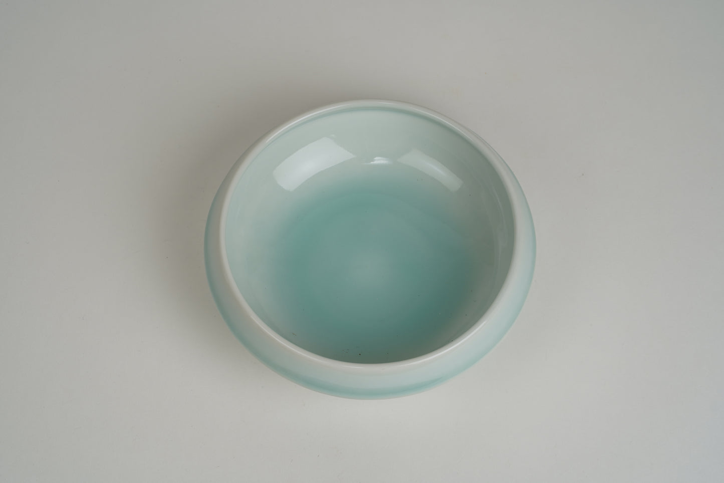 Easy-to-Scoop Bowl (Blue)